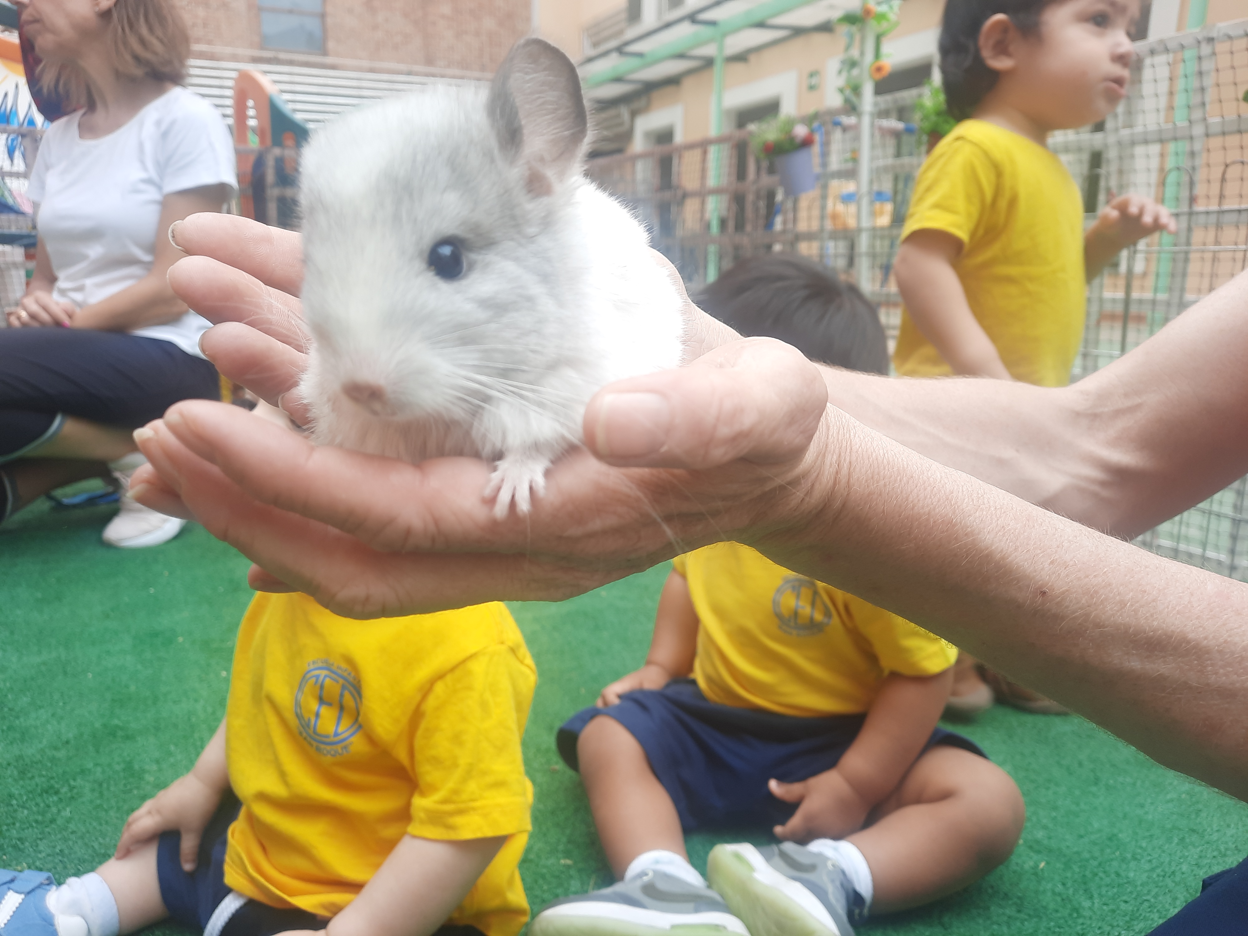 escuela-infantil-carabanchel