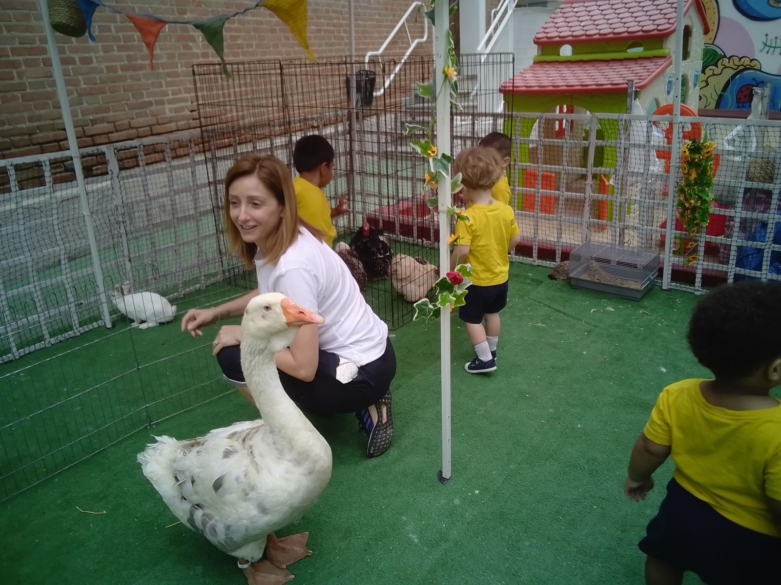 escuela-infantil-carabanchel