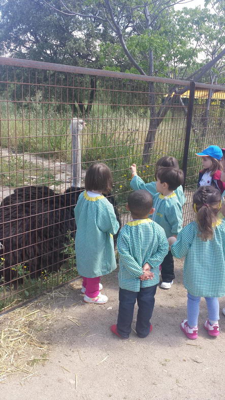 escuela-infantil-carabanchel