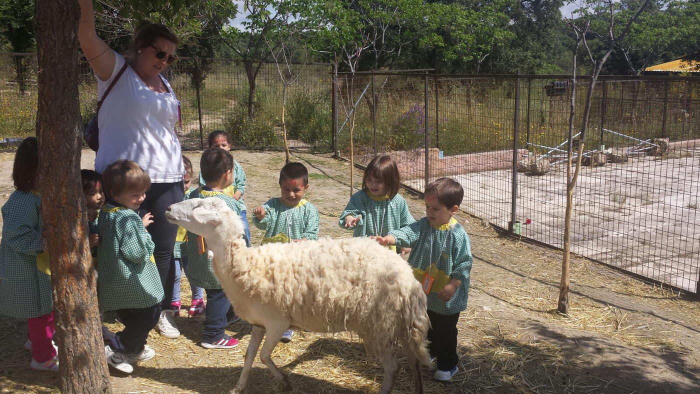 escuela-infantil-carabanchel