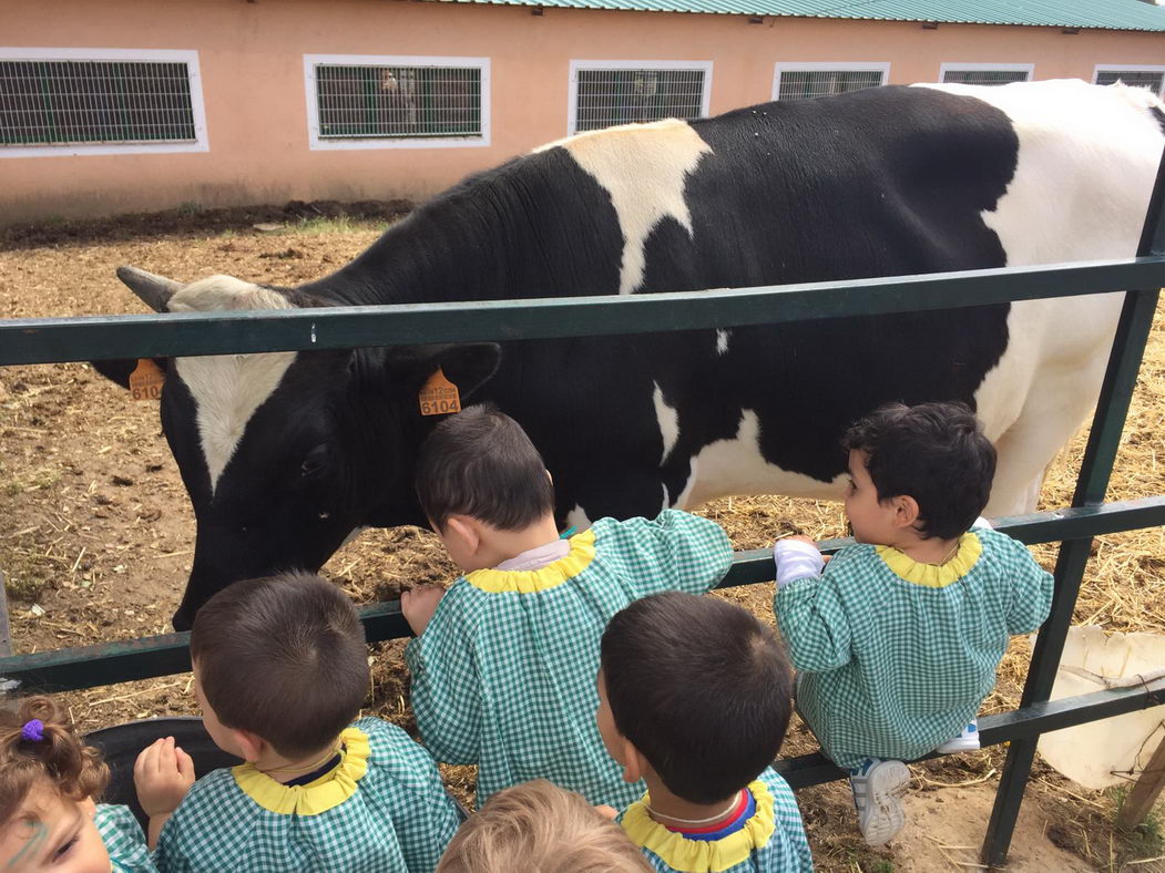 escuela-infantil-carabanchel