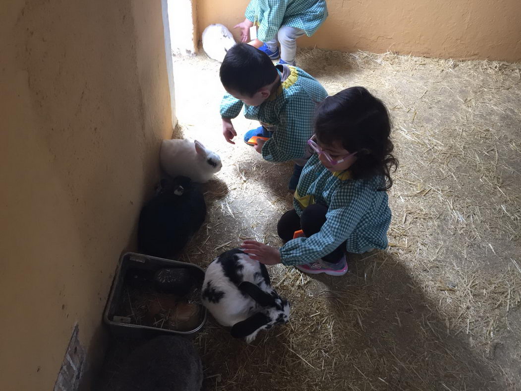 escuela-infantil-carabanchel