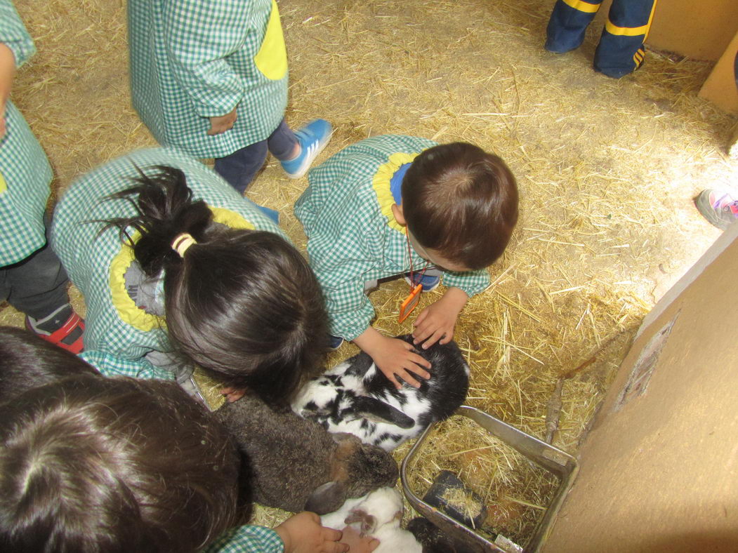 escuela-infantil-carabanchel