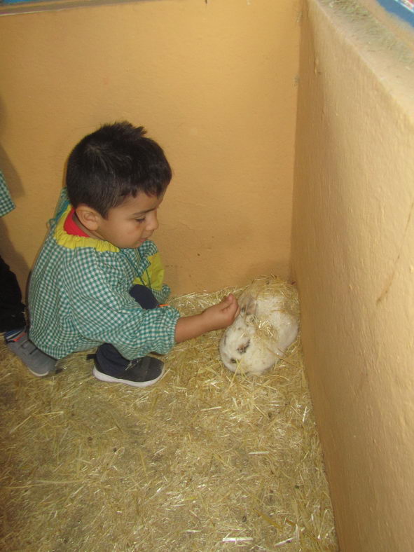 escuela-infantil-carabanchel