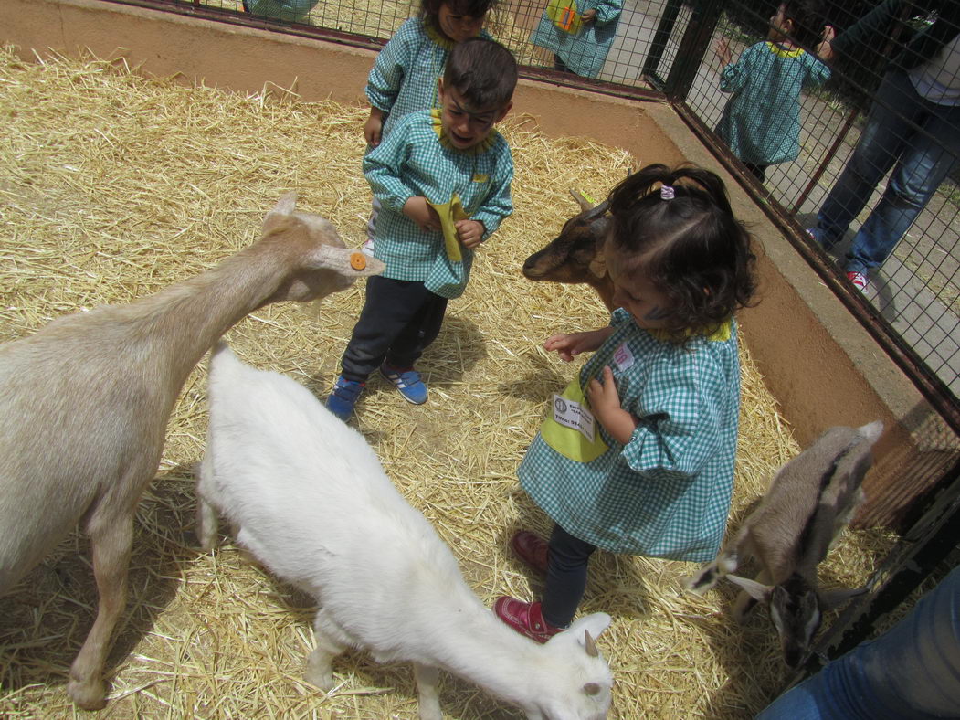 escuela-infantil-carabanchel