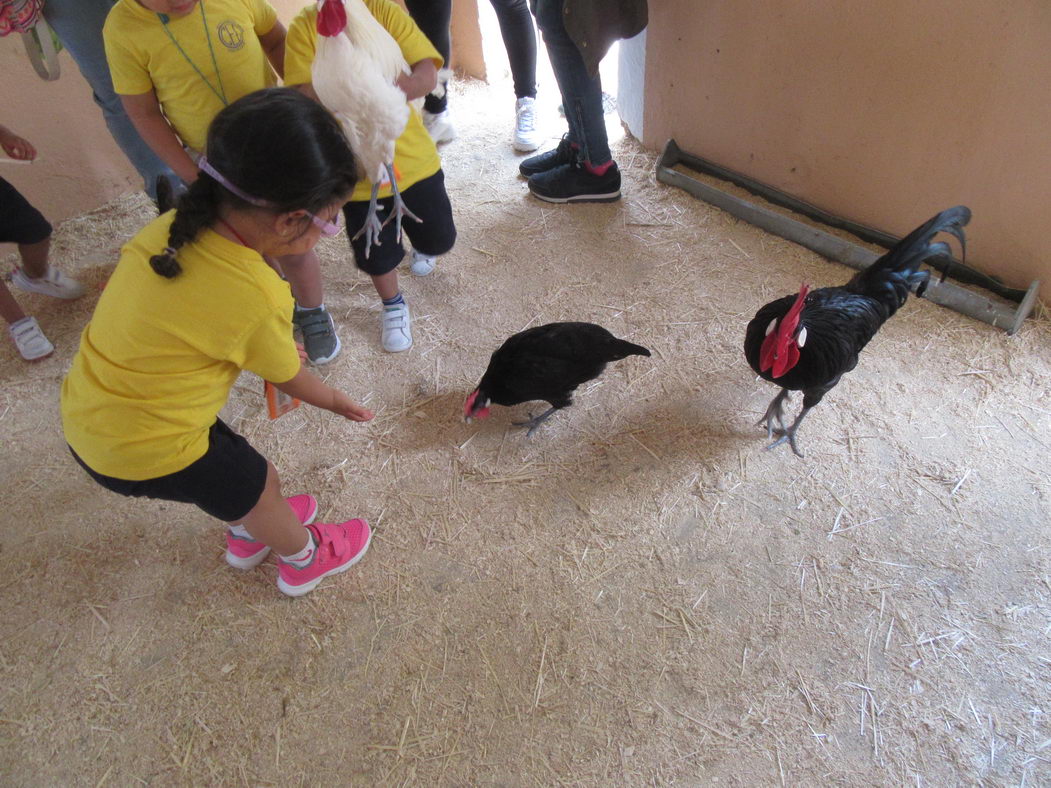 escuela-infantil-carabanchel