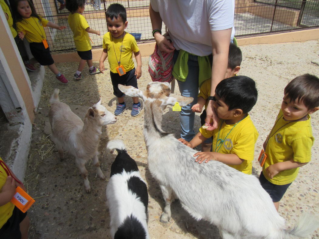 escuela-infantil-carabanchel