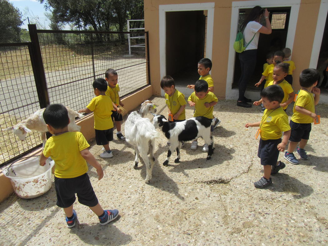 escuela-infantil-carabanchel