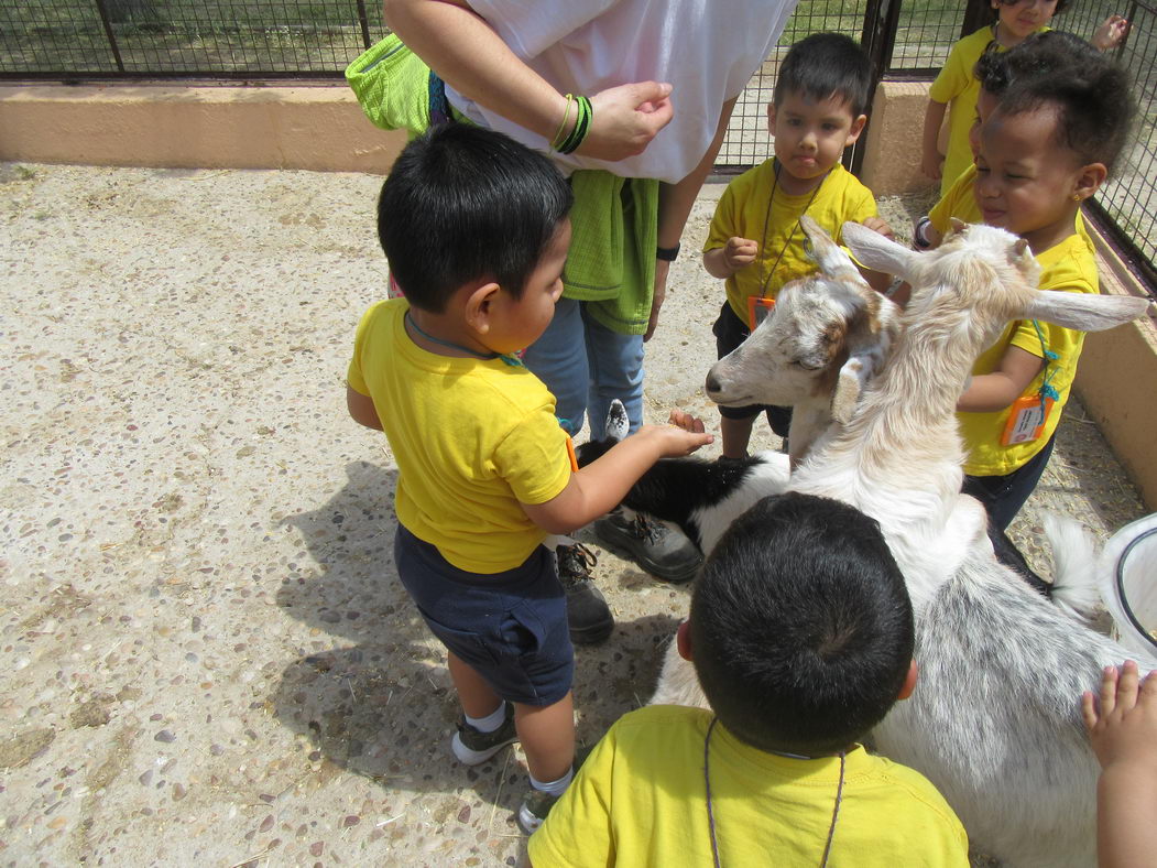 escuela-infantil-carabanchel