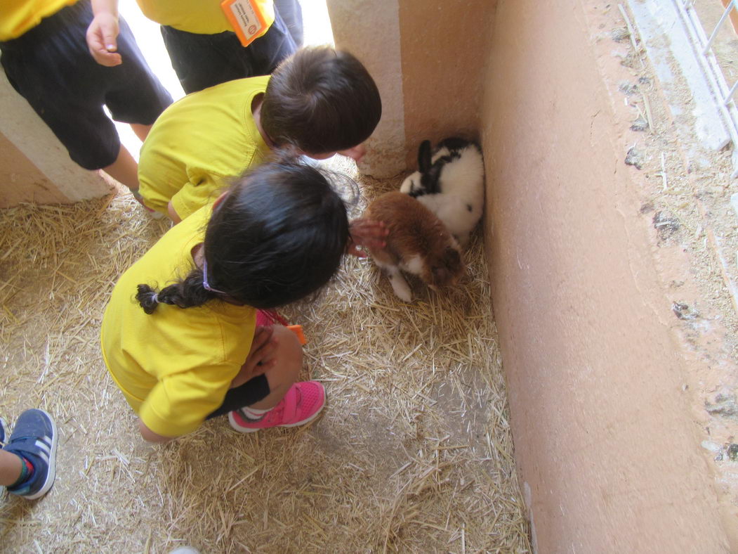 escuela-infantil-carabanchel