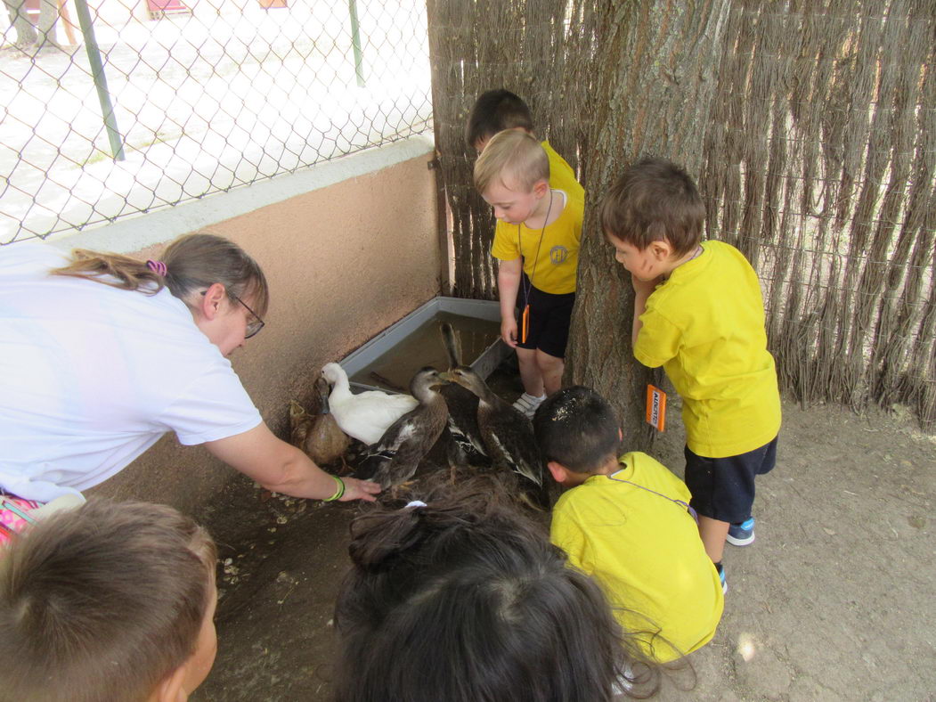 escuela-infantil-carabanchel