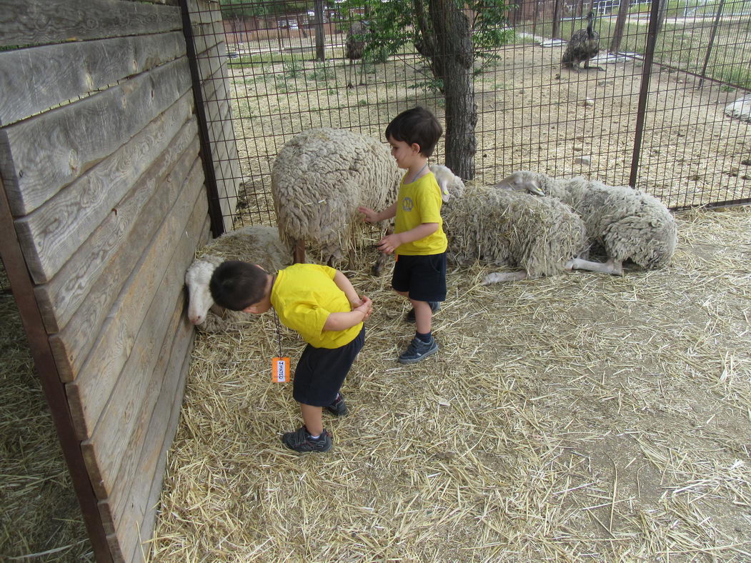 escuela-infantil-carabanchel