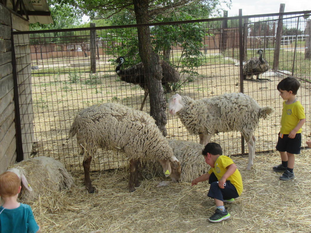 escuela-infantil-carabanchel