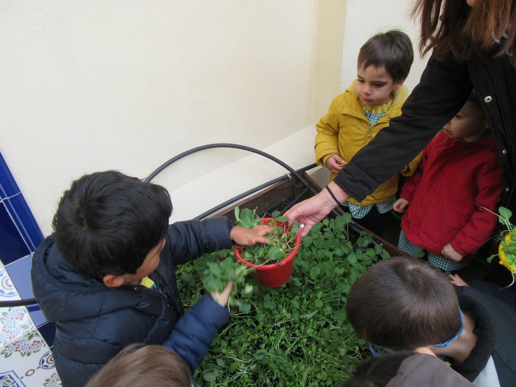 escuela-infantil-carabanchel