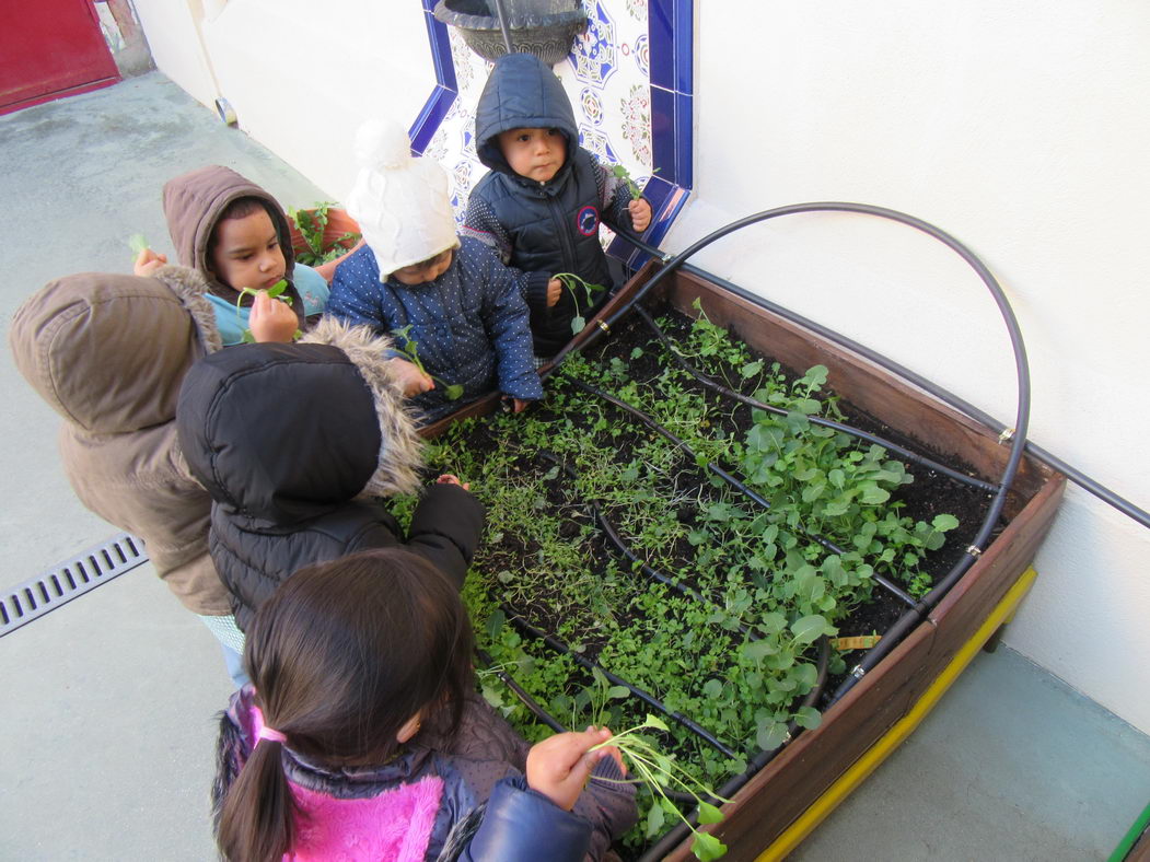 escuela-infantil-carabanchel