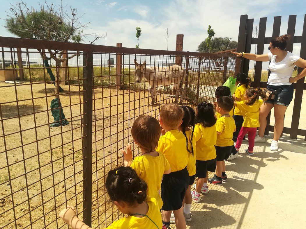 escuela-infantil-carabanchel