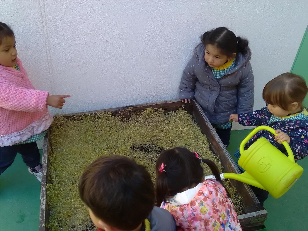 escuela-infantil-carabanchel