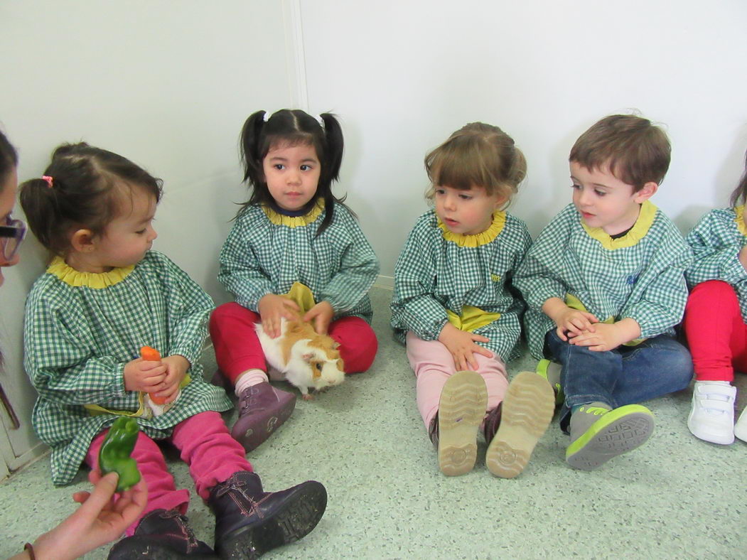 escuela-infantil-carabanchel