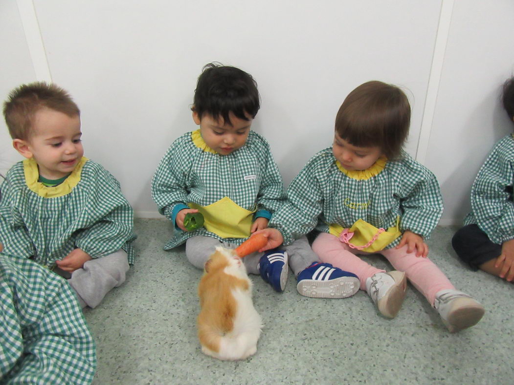 escuela-infantil-carabanchel