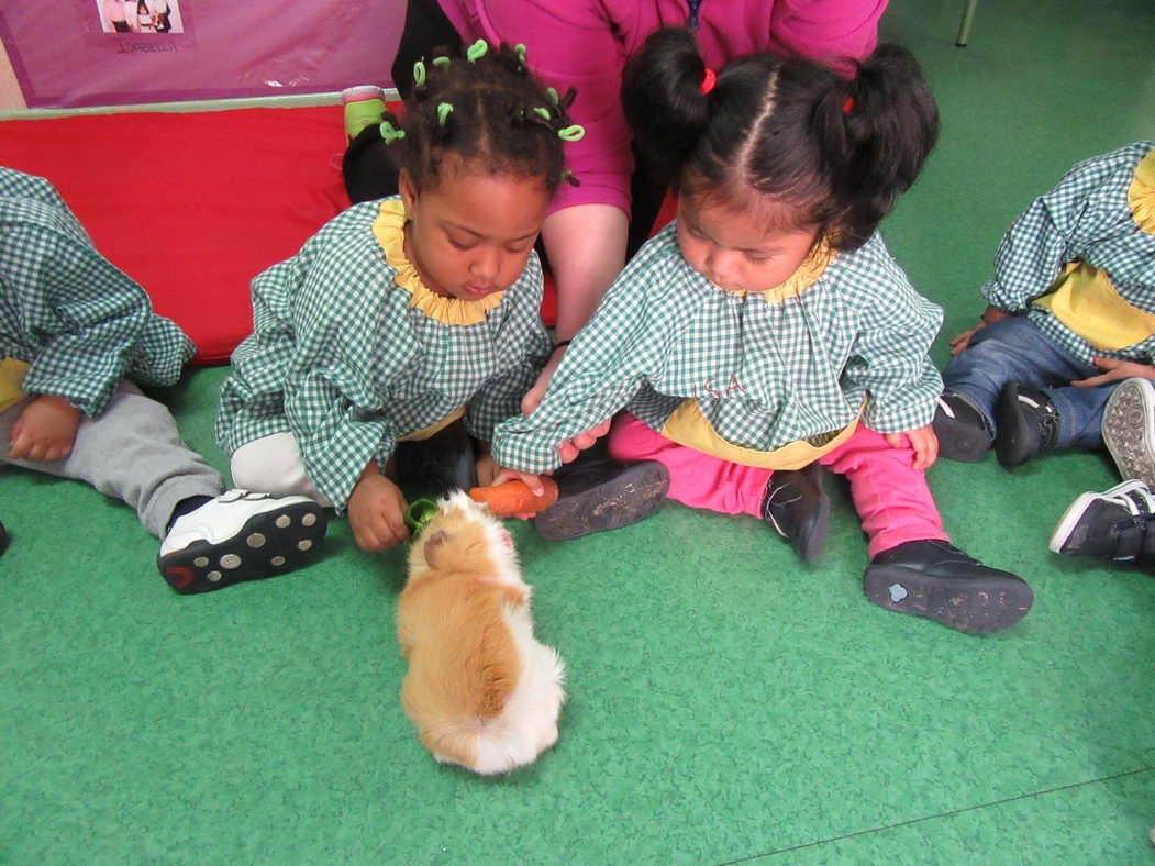 escuela-infantil-carabanchel