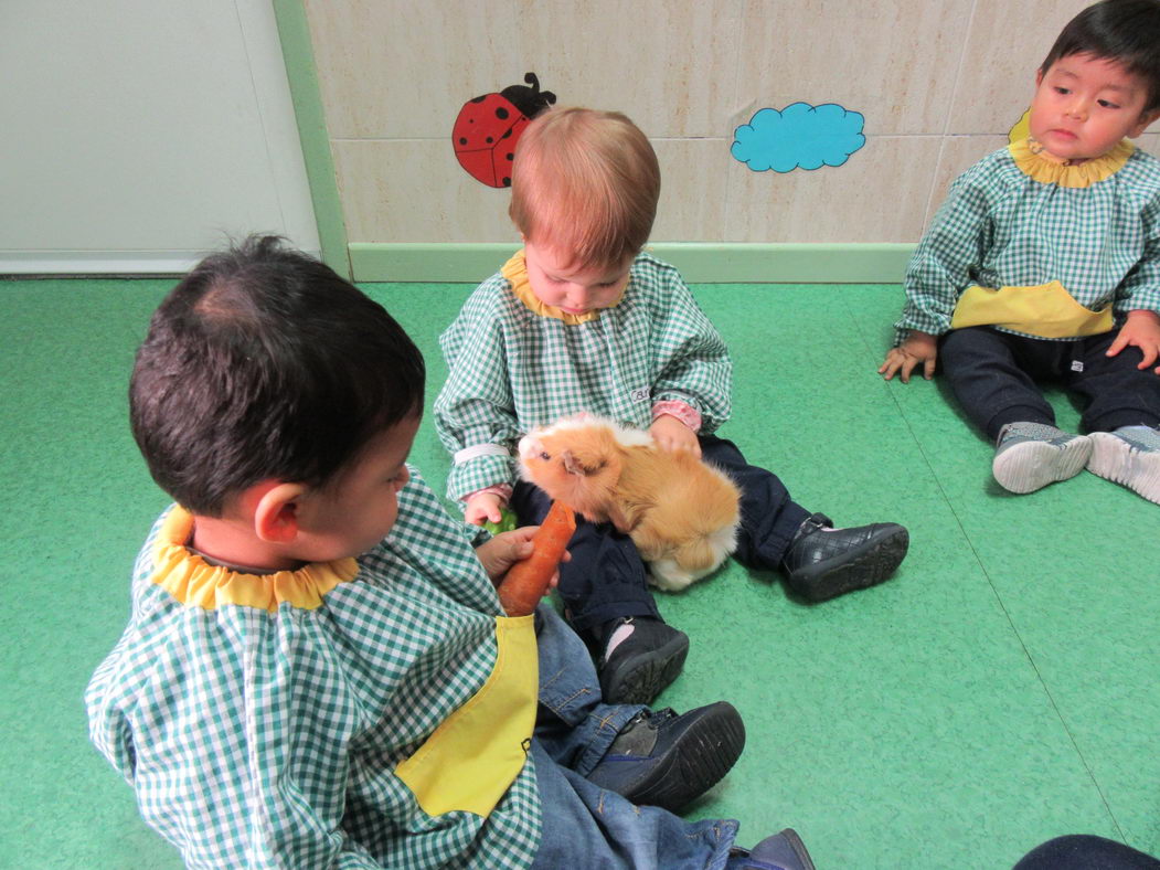 escuela-infantil-carabanchel