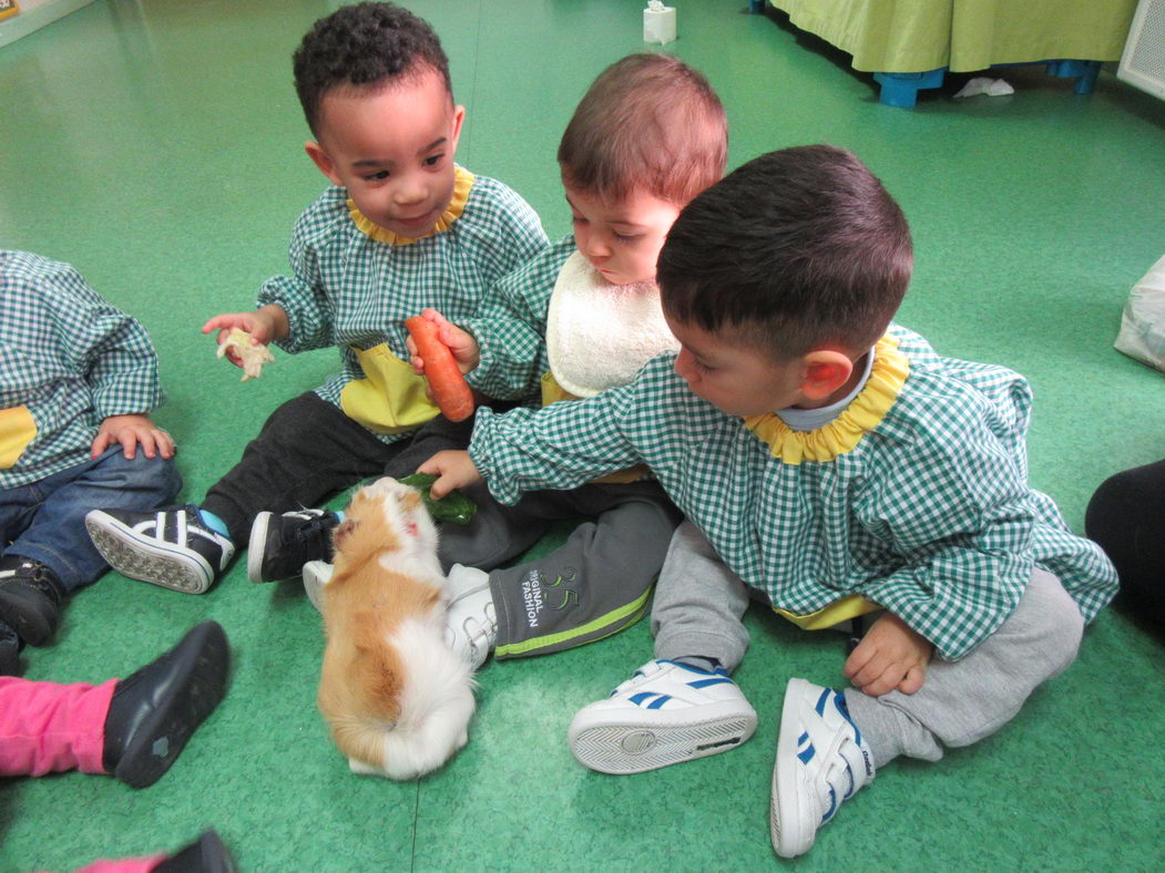 escuela-infantil-carabanchel