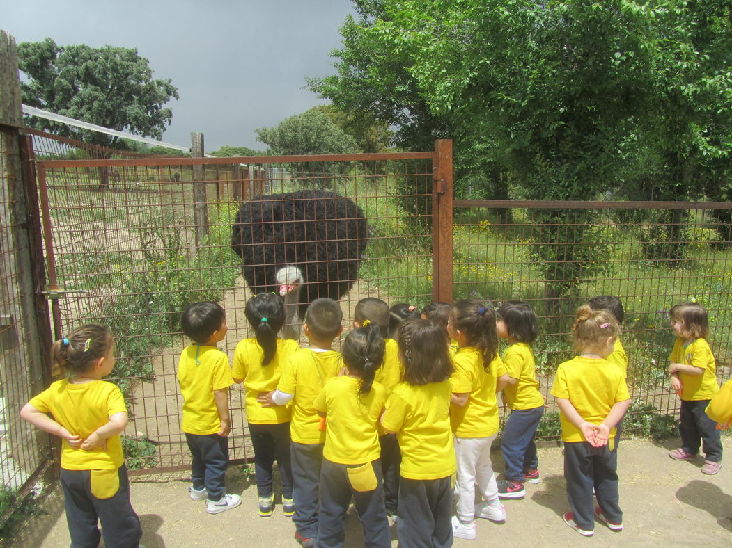 escuela-infantil-carabanchel