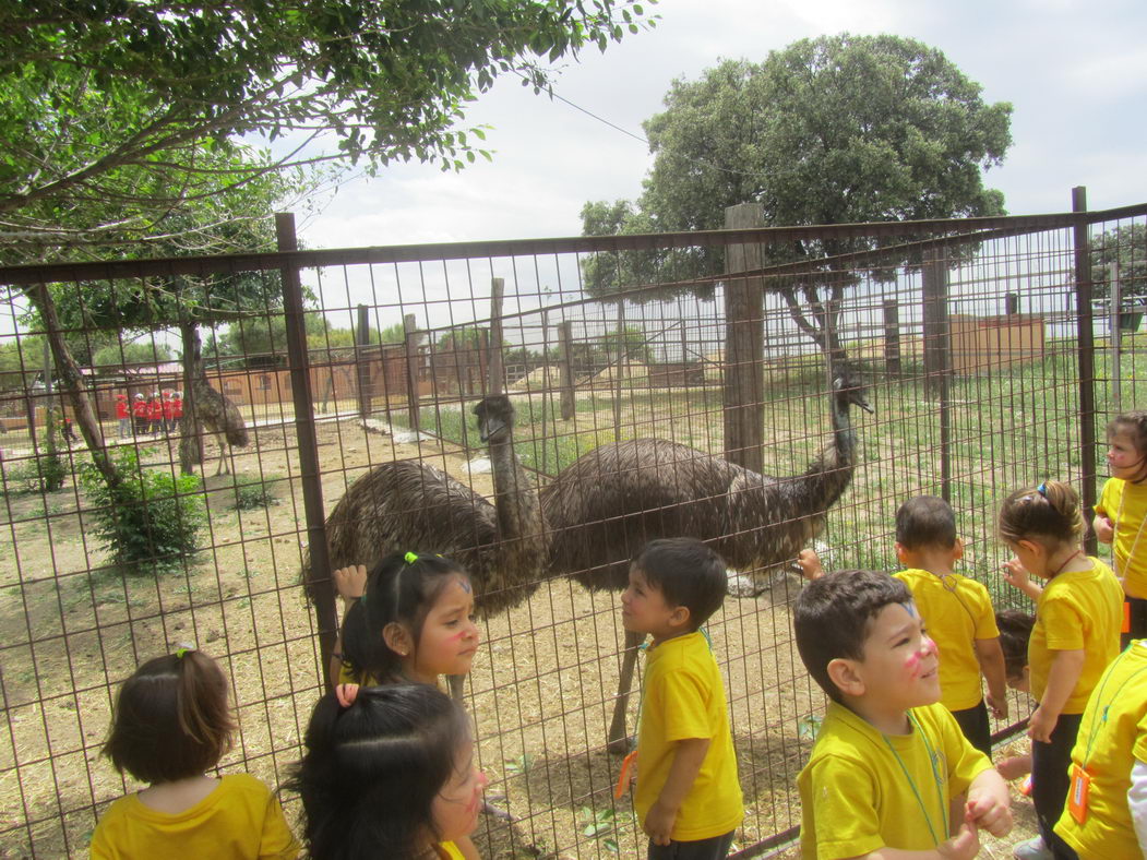 escuela-infantil-carabanchel