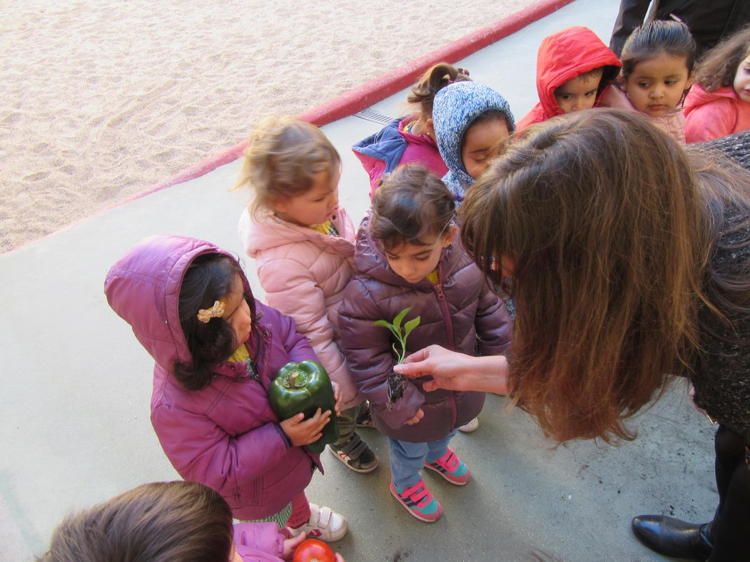 escuela-infantil-carabanchel