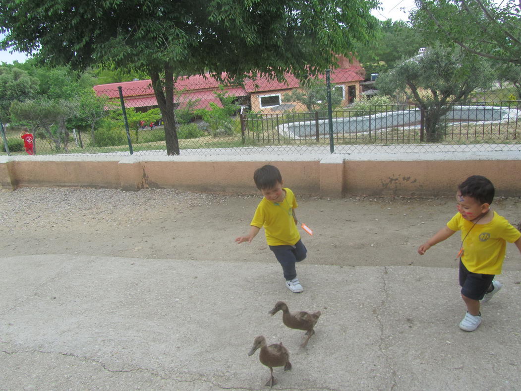 escuela-infantil-carabanchel