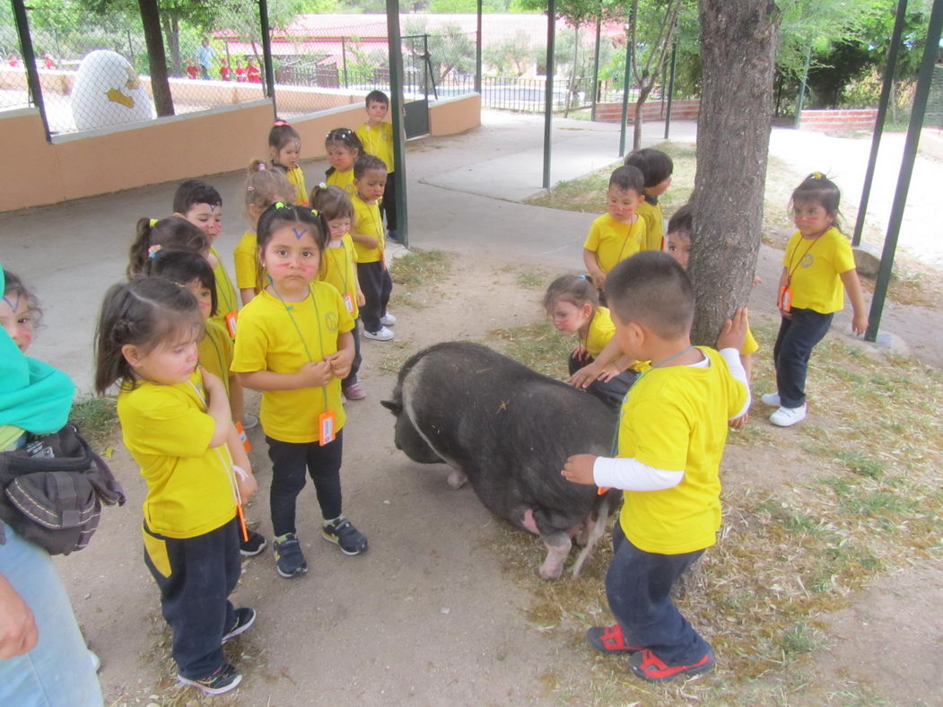 escuela-infantil-carabanchel