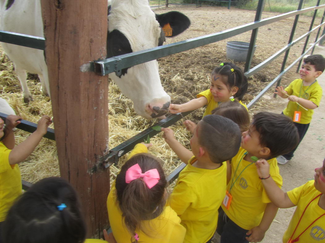 escuela-infantil-carabanchel