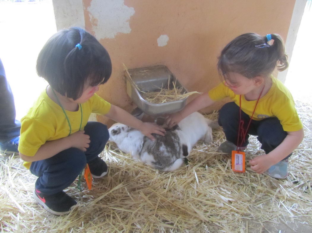 escuela-infantil-carabanchel