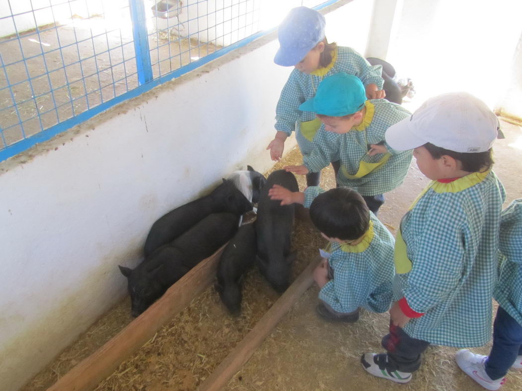 escuela-infantil-carabanchel