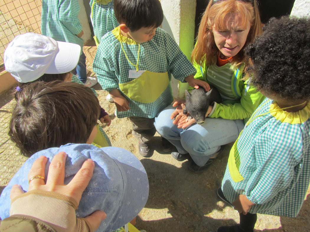 escuela-infantil-carabanchel