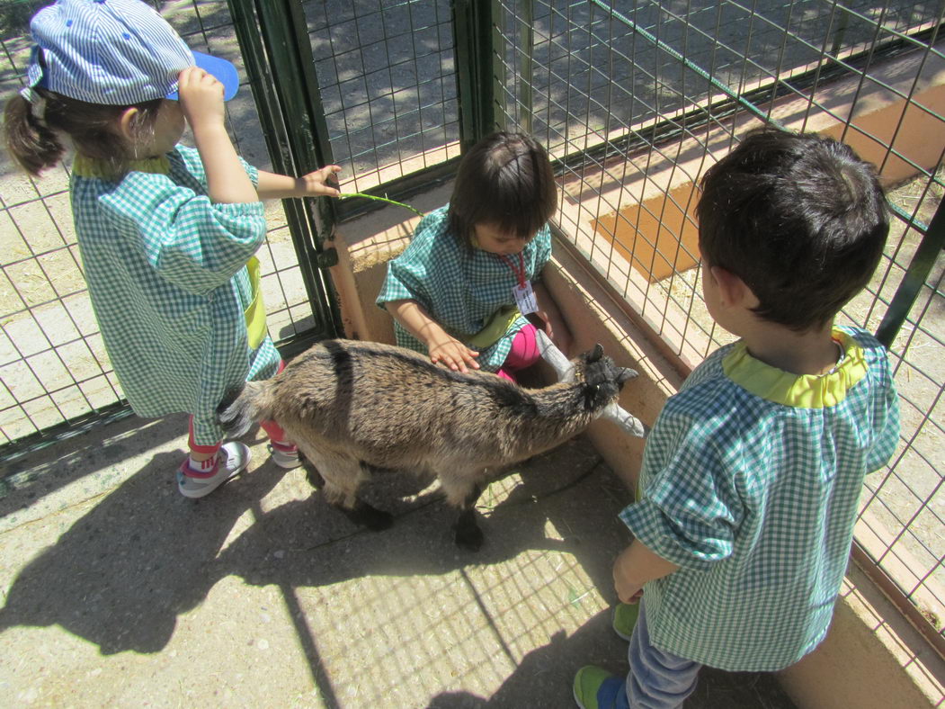 escuela-infantil-carabanchel