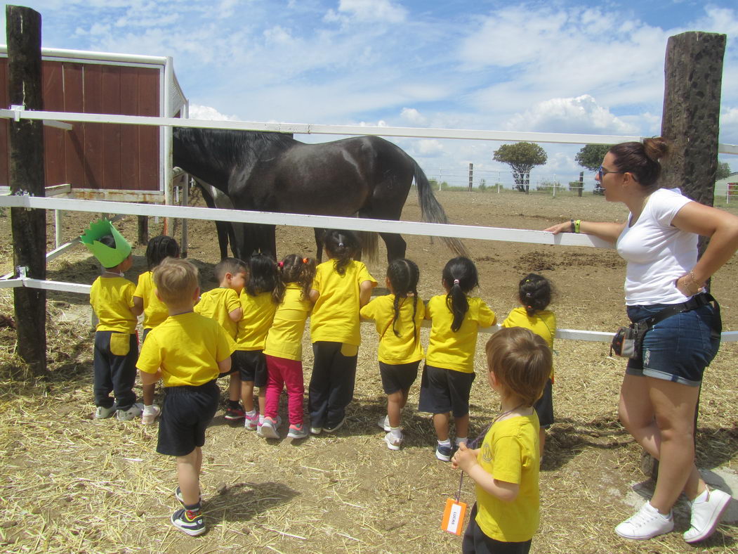 escuela-infantil-carabanchel