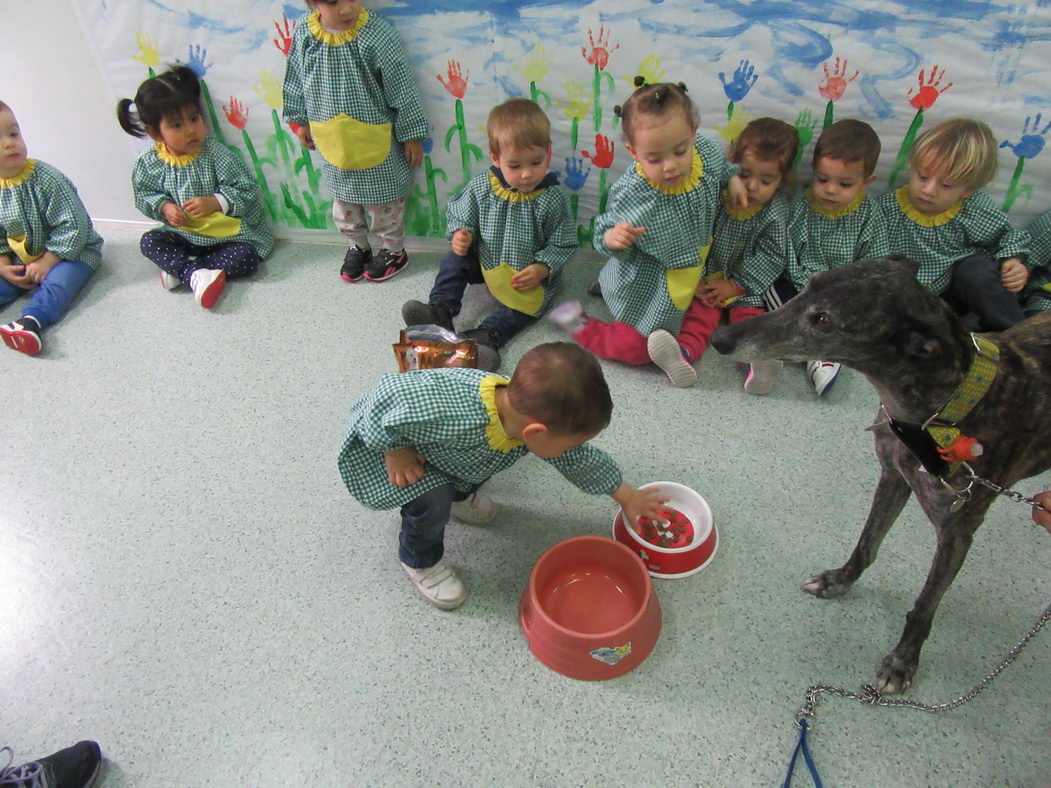 escuela-infantil-carabanchel