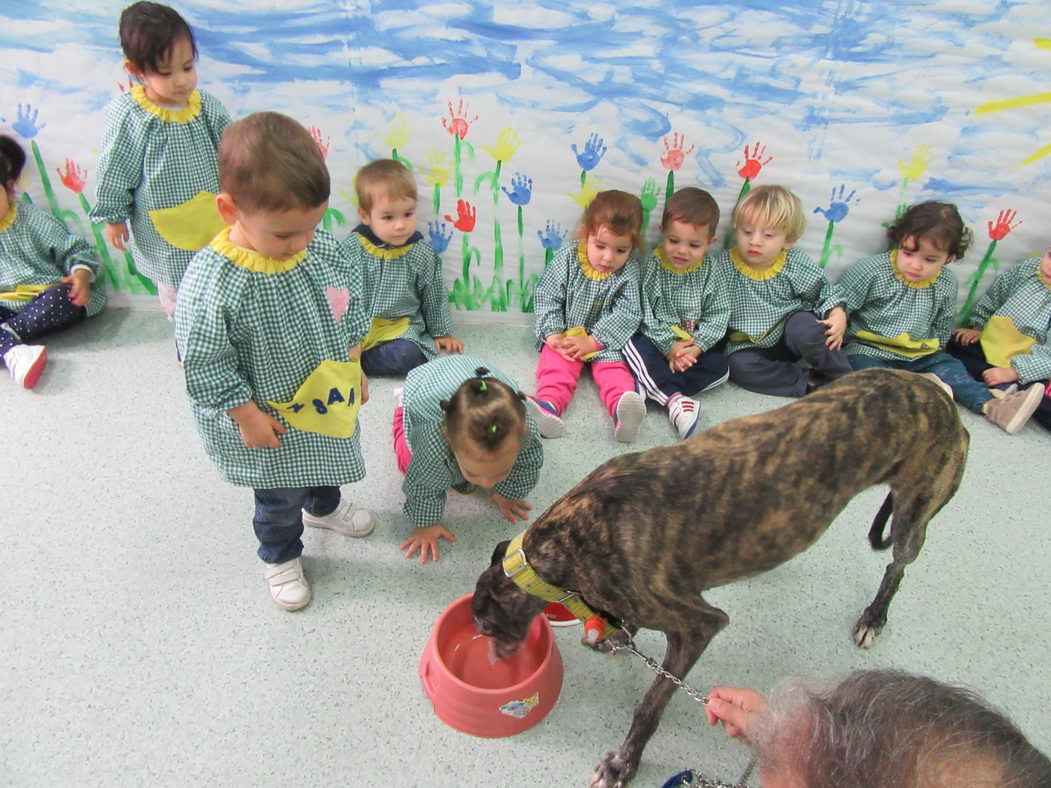 escuela-infantil-carabanchel