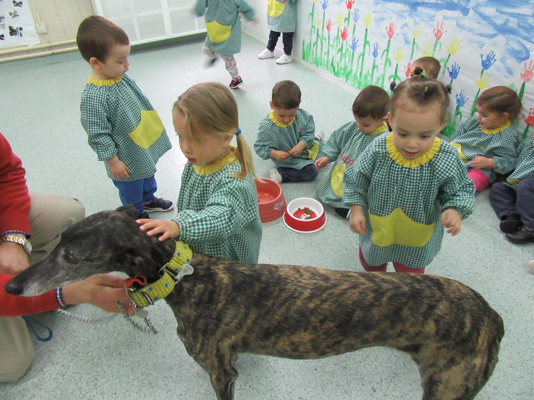 escuela-infantil-carabanchel