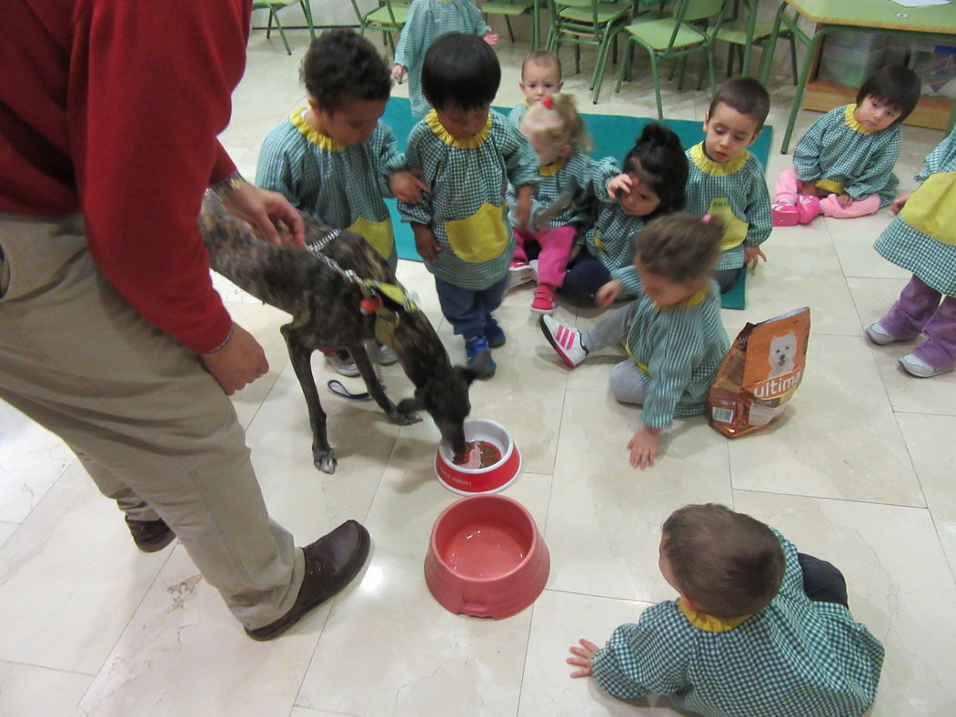 escuela-infantil-carabanchel