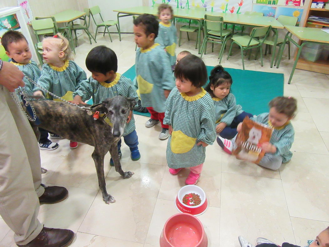 escuela-infantil-carabanchel