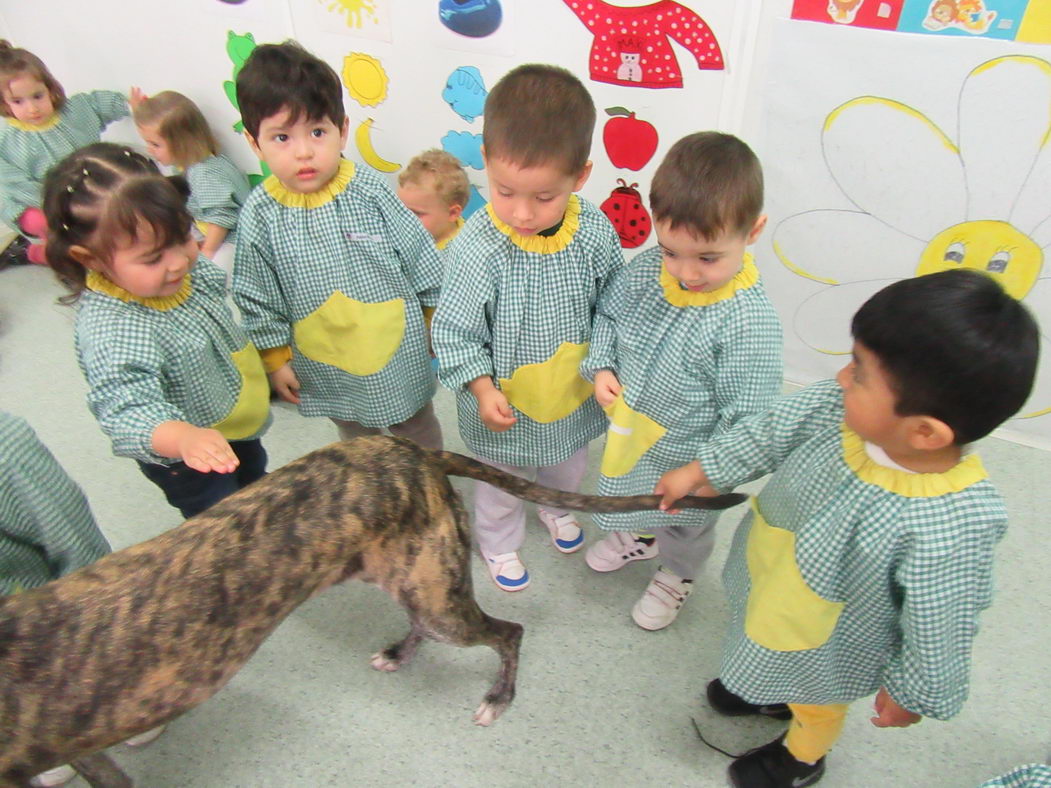 escuela-infantil-carabanchel