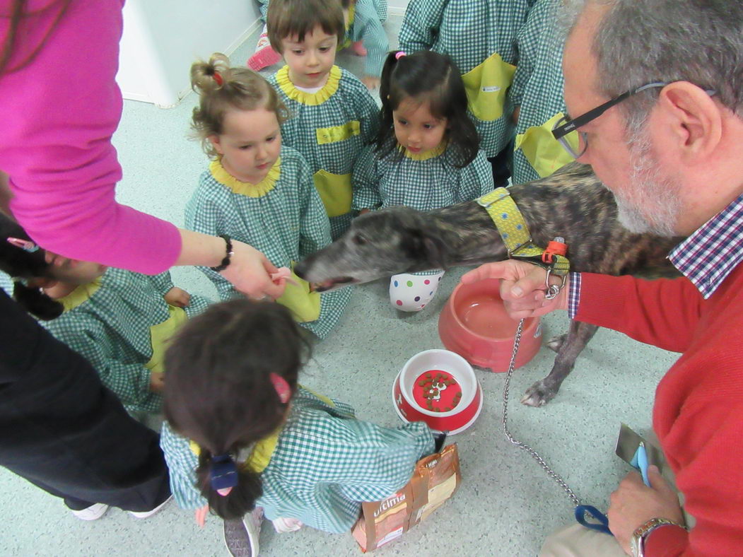 escuela-infantil-carabanchel