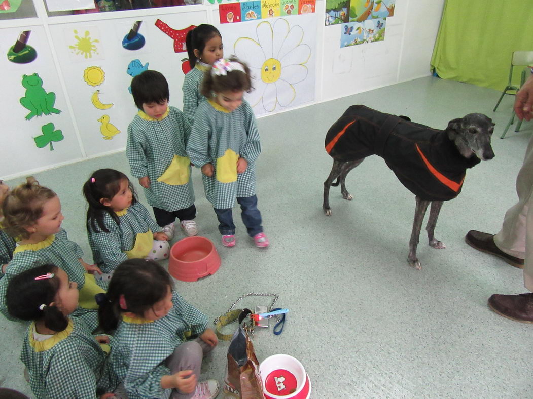 escuela-infantil-carabanchel