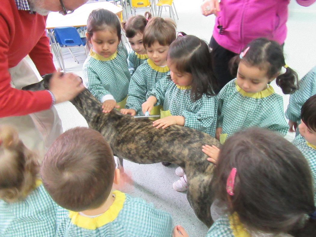 escuela-infantil-carabanchel