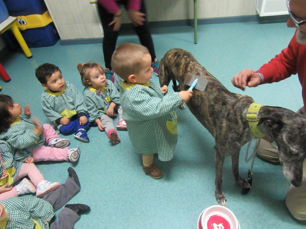 escuela-infantil-carabanchel