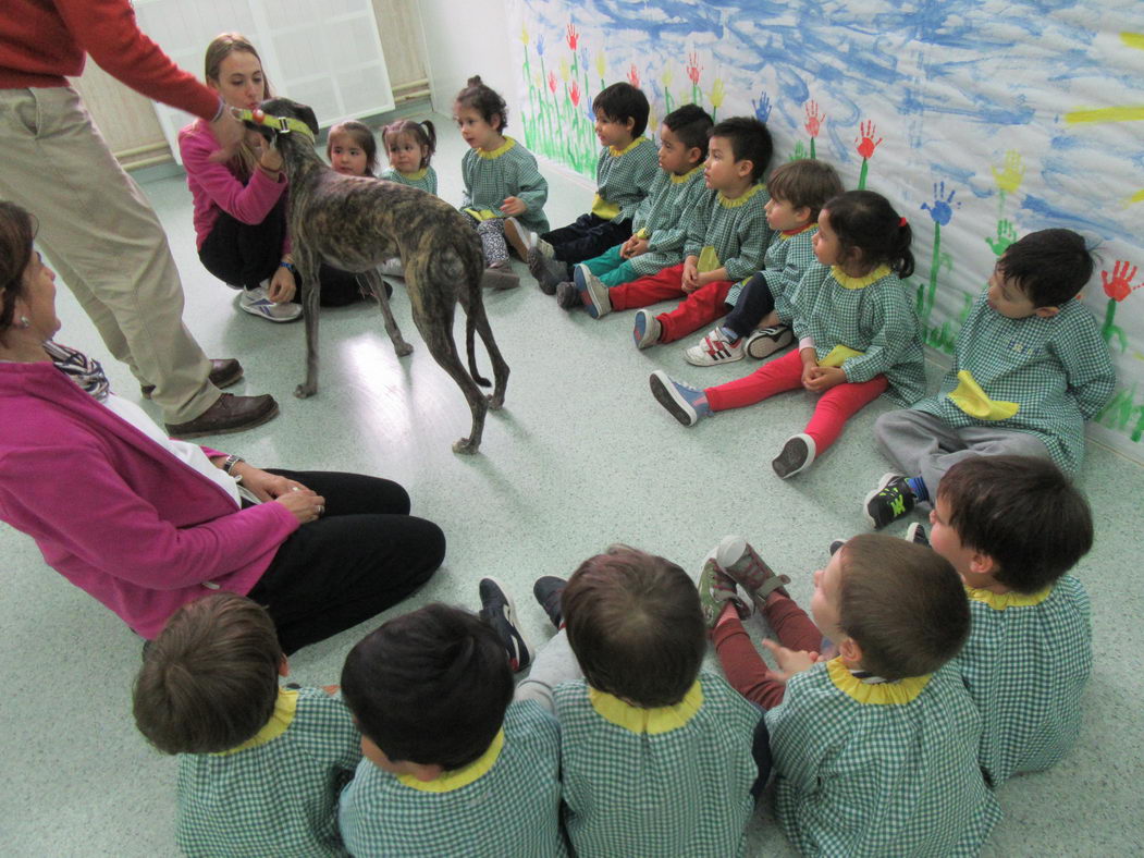 escuela-infantil-carabanchel