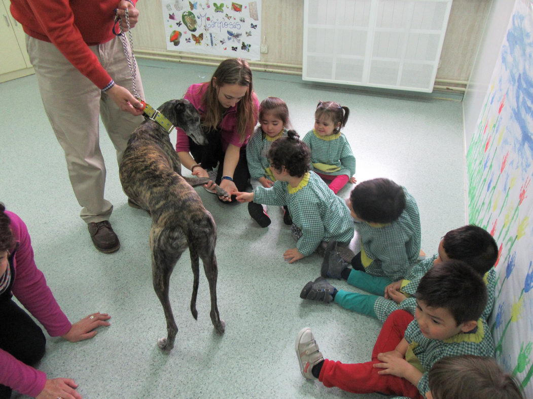 escuela-infantil-carabanchel