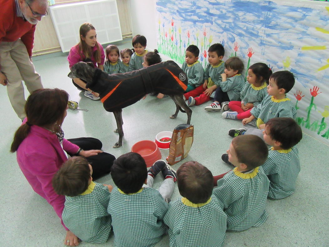 escuela-infantil-carabanchel